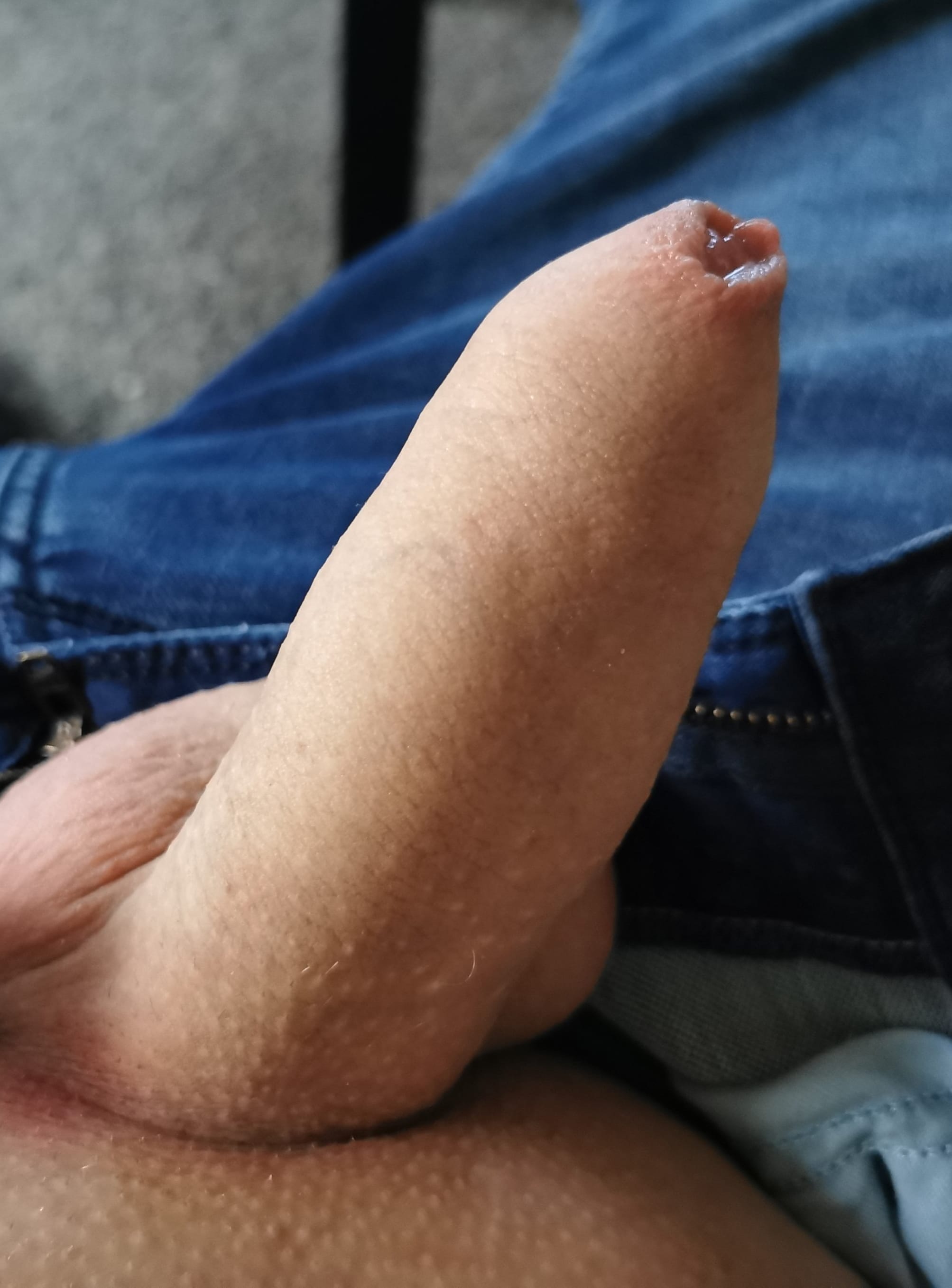 Uncut cock with shaved pubes